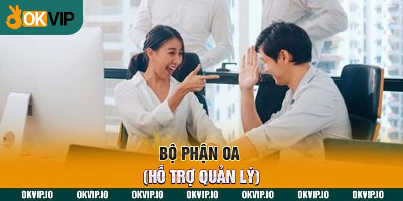 Bộ phận OA (Hỗ trợ quản lý)