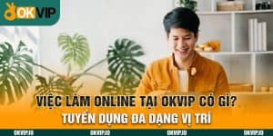 Việc làm online tại OKVIP có gì? Tuyển dụng đa dạng vị trí