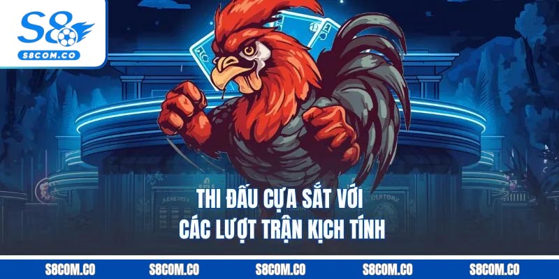 Đá Gà Cựa Sắt | A Đến Z Thông Tin Giới Thiệu Cho Tân Thủ Thi đấu cựa sắt với các lượt trận kịch tính
